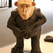 baboon1