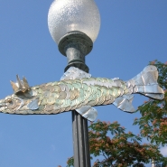 fish_0713